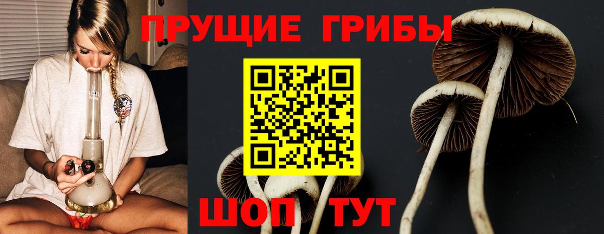 Псилоцибиновые грибы Psilocybe  Псилоцибиновые грибы Psilocybe  Вход с VPN  Саратов 