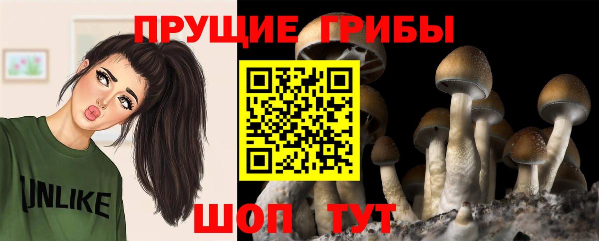 Псилоцибиновые грибы Magic Shrooms Саратов