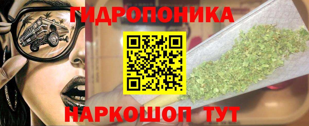 Бошки Шишки Bruce Banner  Бошки марихуана Ganja  Саратов  Вход с VPN  Конопля планчик  Конопля семена 